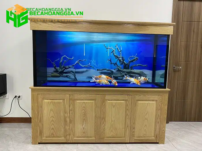 Kích thước bể cá koi mini