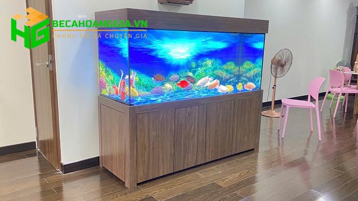 Mẫu bể cá rồng đẹp