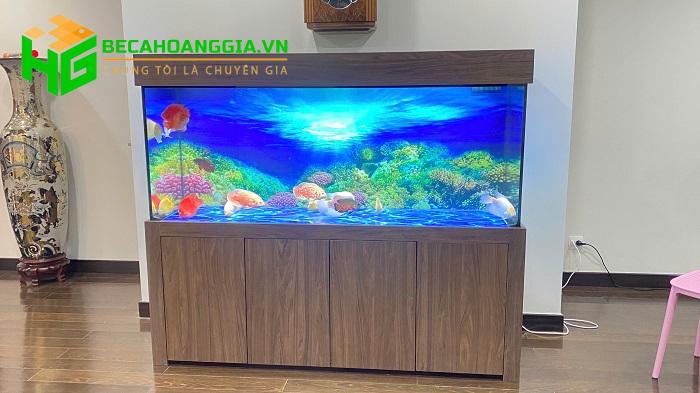 Mẫu bể cá rồng đẹp