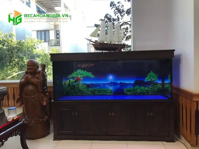 Mẫu bể cá rồng đẹp