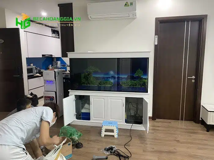 Dịch vụ vận chuyển bể cá tại Bể Cá Hoàng Gia
