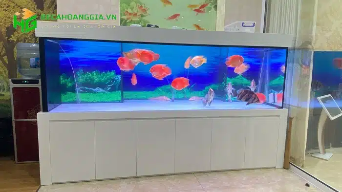 Cách tính số lít nước trong bể cá