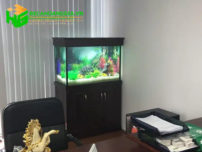Kích thước bể cá koi mini