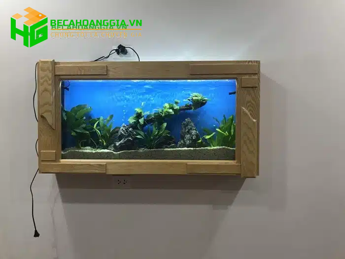 Kích thước bể cá koi mini