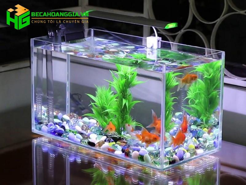Bể cá dạng hình hộp chữ nhật