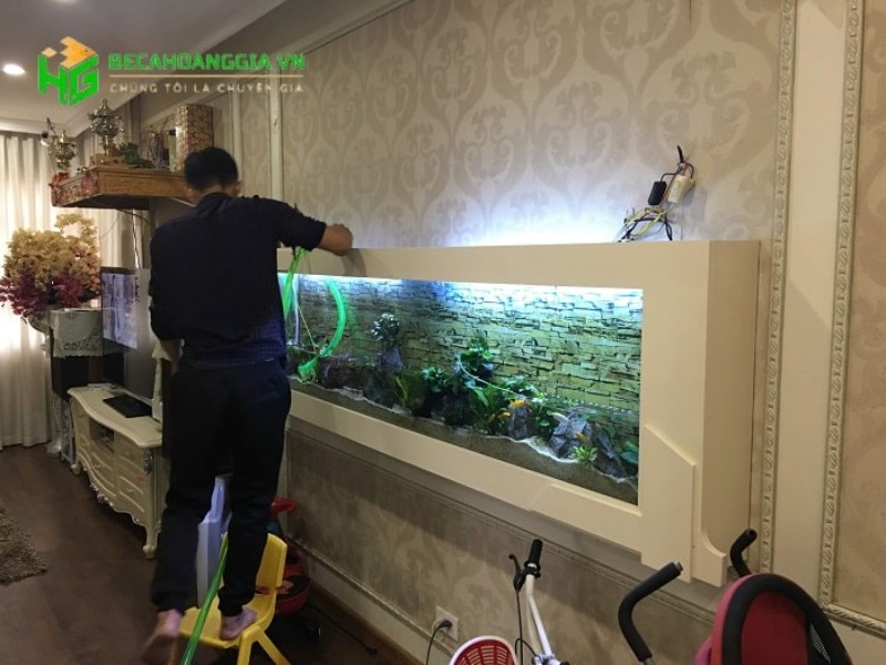 bể cá treo tường