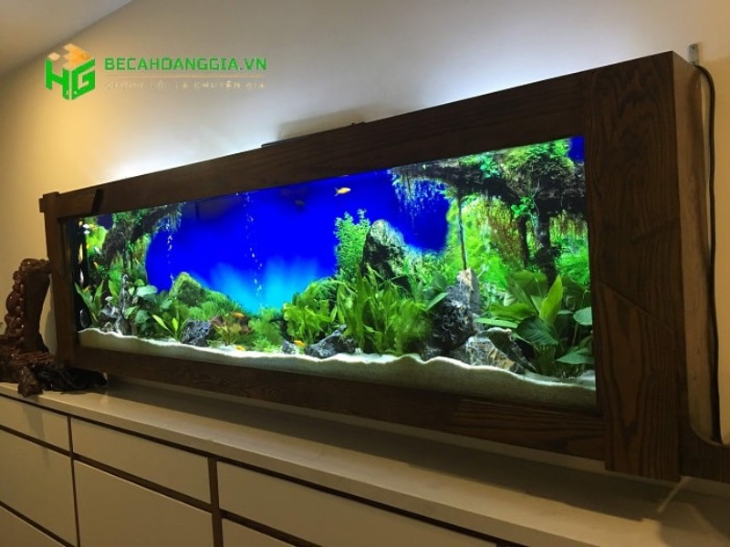 bể cá treo tường