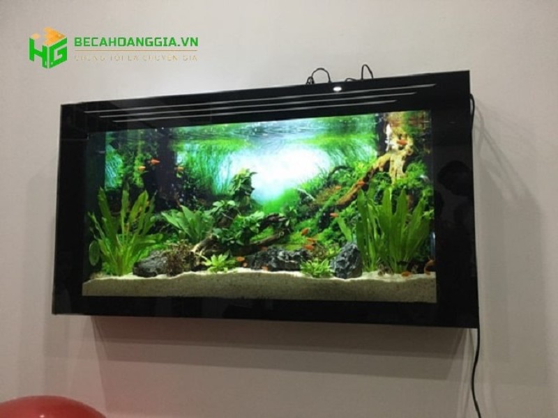 bể cá treo tường