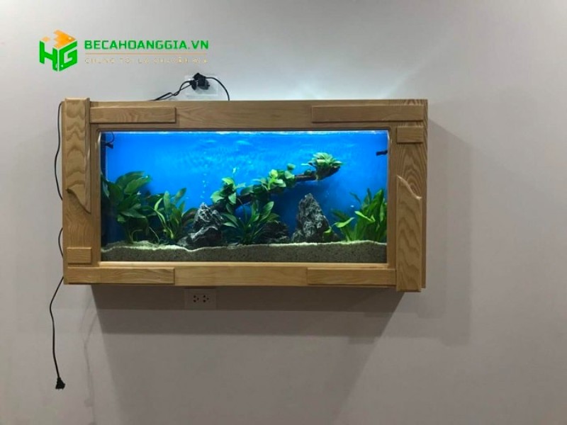 bể cá treo tường