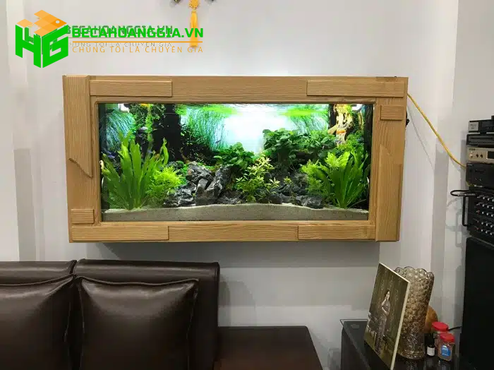 Kích thước bể cá koi mini