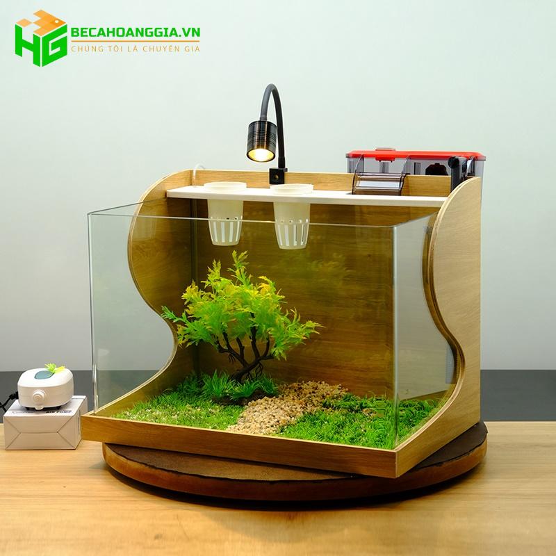 Tiểu cảnh bể cá mini để bàn