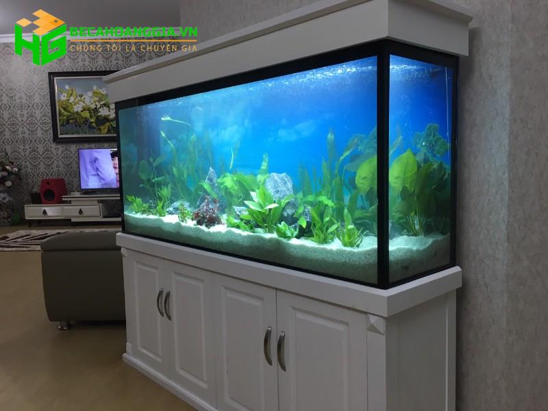 chọn công suất máy bơm cho hồ cá