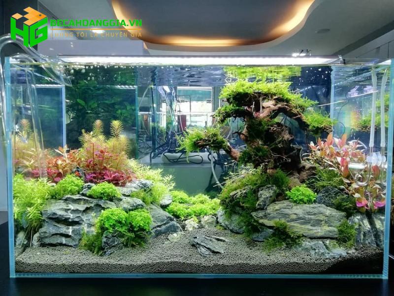 chọn công suất máy bơm cho hồ cá