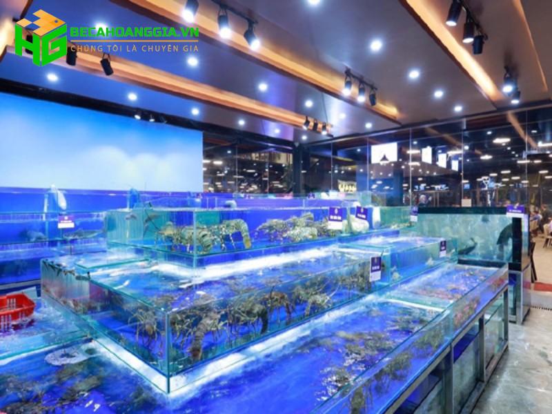 cửa hàng thủy sinh hà nội