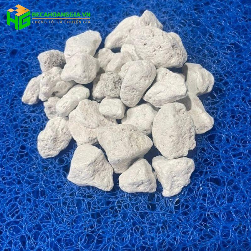 Vật liệu lọc bể cá