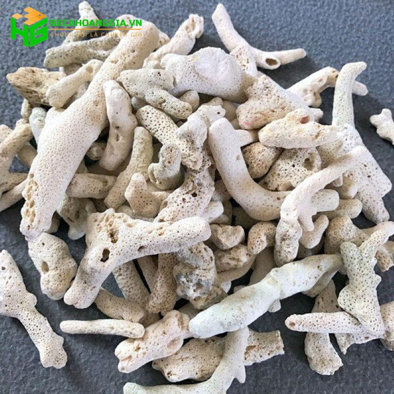 Vật liệu lọc bể cá