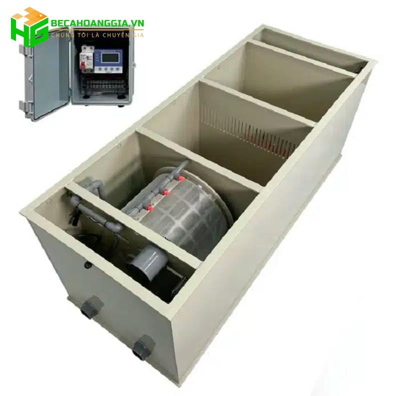 Hệ thống lọc nước hồ cá koi ngoài trời