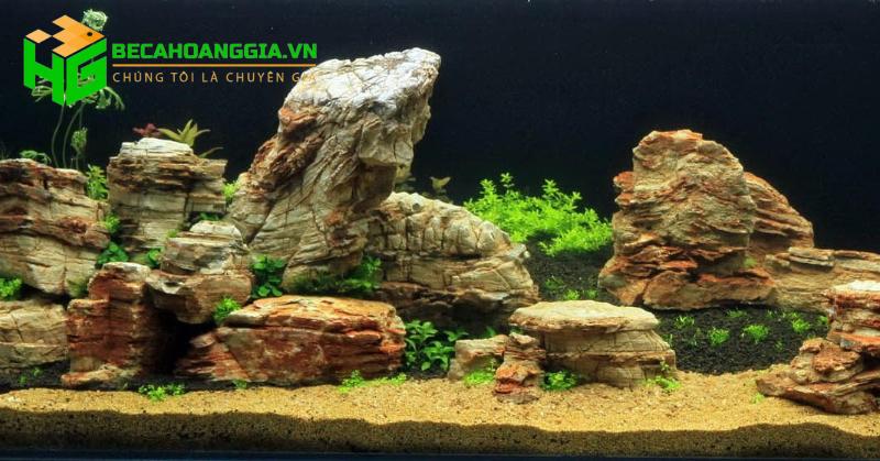 Các loại đá thủy sinh