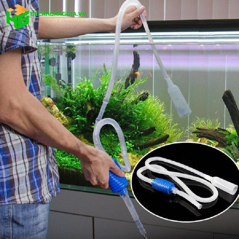 Hút cặn bể cá