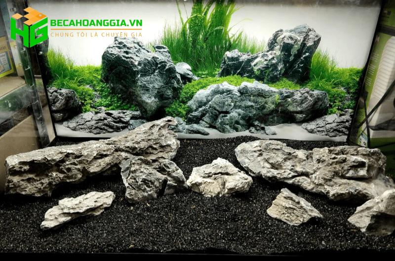 Các loại đá thủy sinh