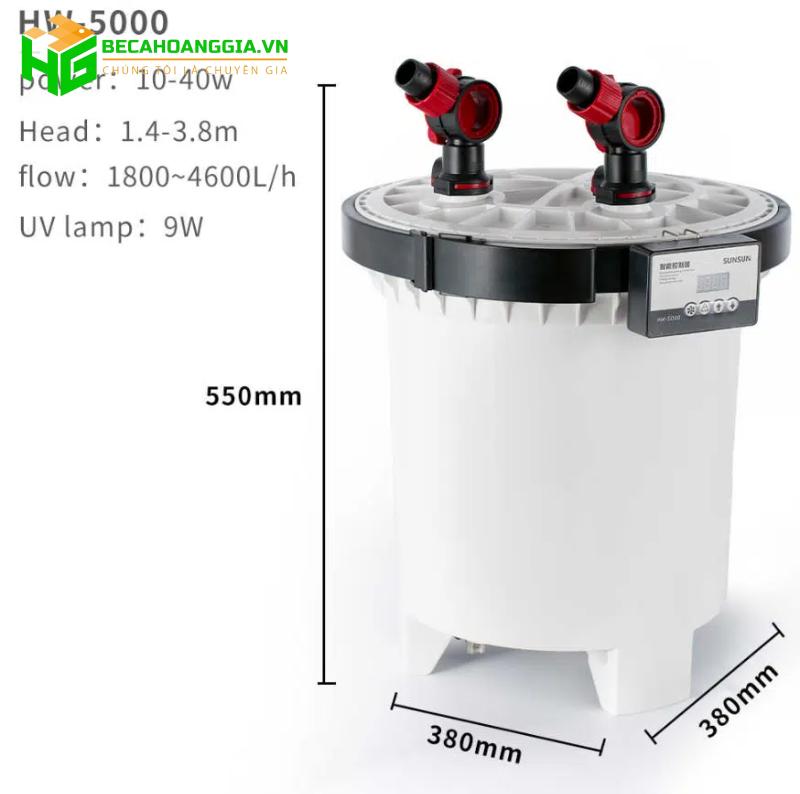 Lọc bể thủy sinh