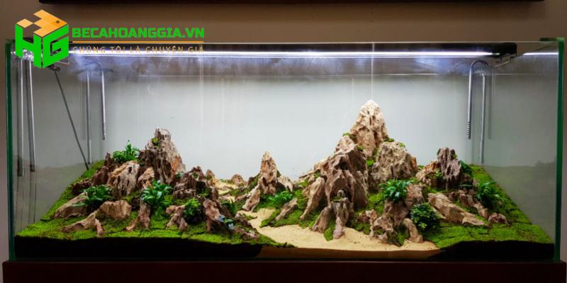 Các loại đá thủy sinh