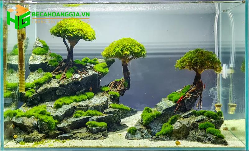 Đồ trang trí bể cá