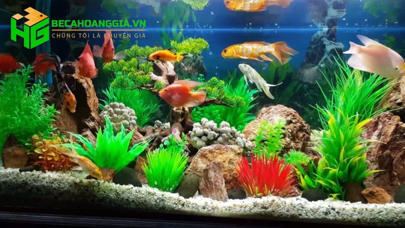 Đồ trang trí bể cá