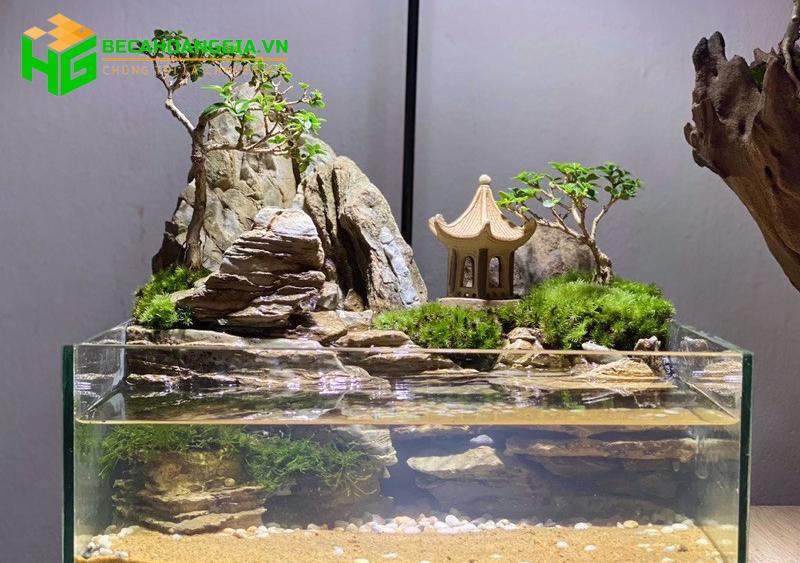 Cây bán cạn