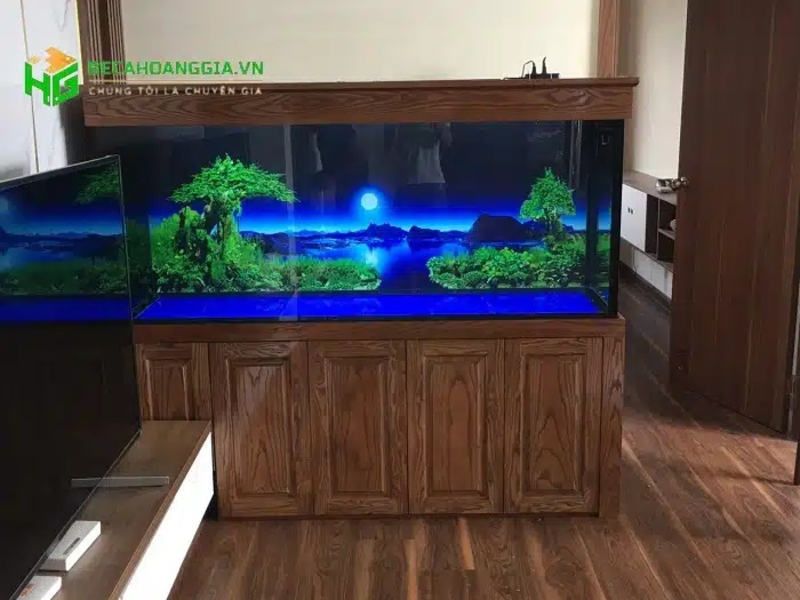 Bể cá rồng