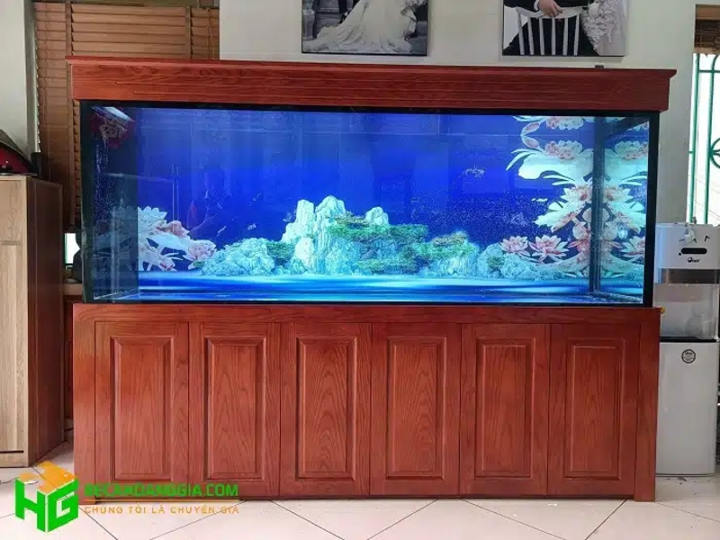 Bể cá rồng