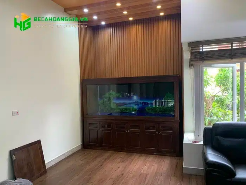 Bể cá rồng