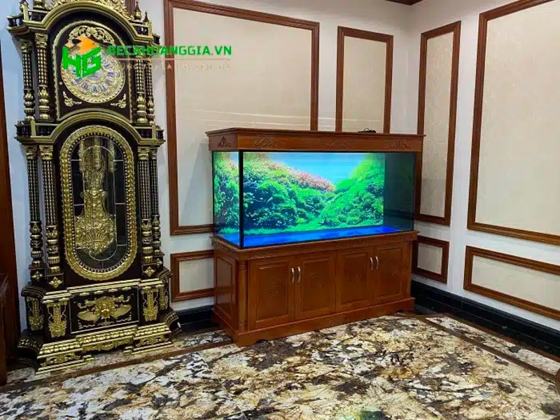 Bể cá rồng