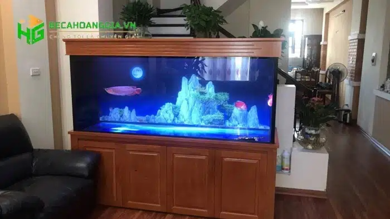 Bể cá rồng