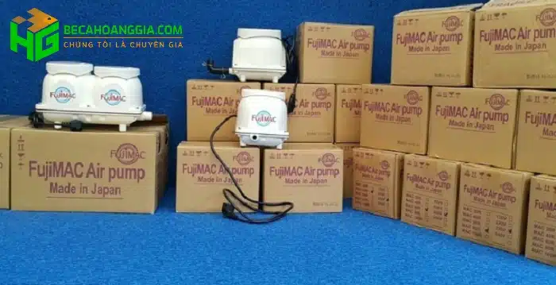 Máy sục oxy bể cá