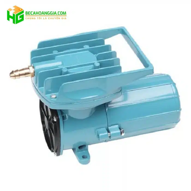Máy sục oxy bể cá