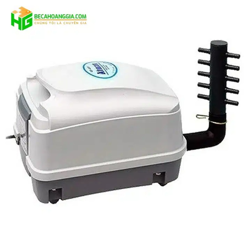 Máy sục oxy bể cá