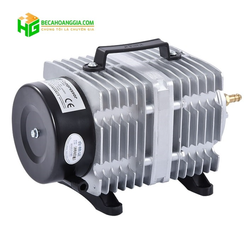 Máy sục oxy bể cá