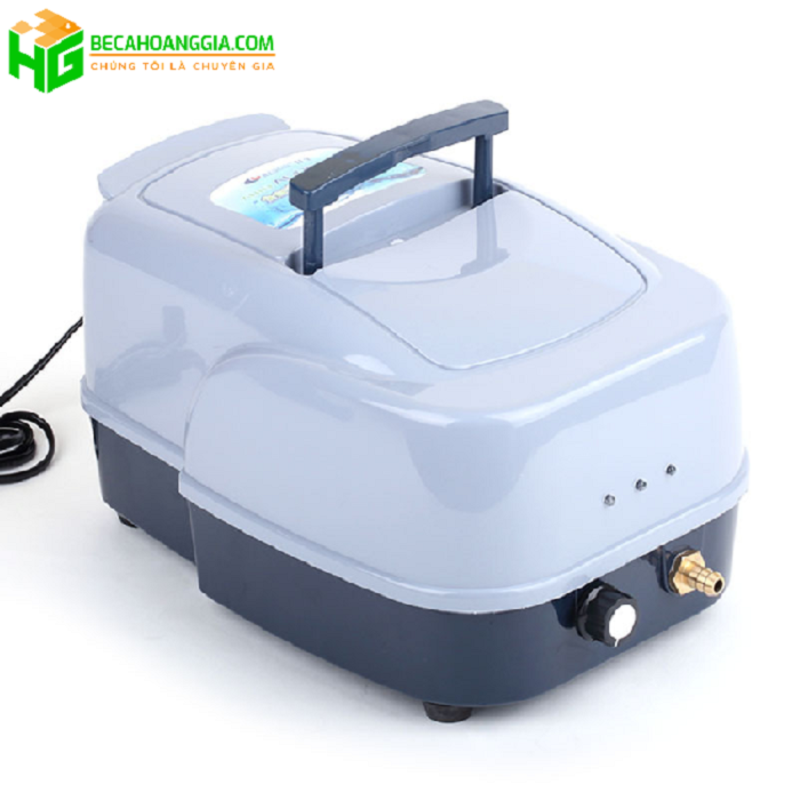 Máy sục oxy bể cá