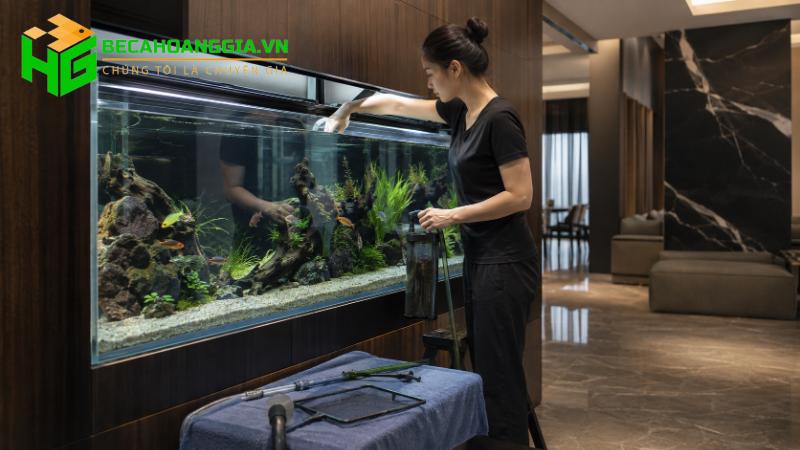 Vệ sinh bể cá