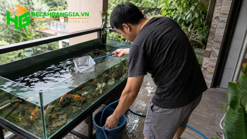 Vệ sinh bể cá